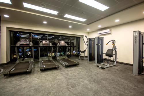 GYM SSH 4629