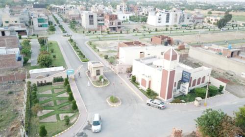 dal (1)
